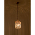 Load image into Gallery viewer, Blanca Crystal Pendant Lamp

