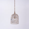 Load image into Gallery viewer, Blanca Crystal Pendant Lamp
