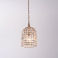 Load image into Gallery viewer, Blanca Crystal Pendant Lamp
