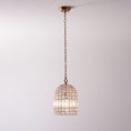 Load image into Gallery viewer, Blanca Crystal Pendant Lamp
