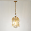 Load image into Gallery viewer, Blanca Crystal Pendant Lamp
