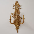 Load image into Gallery viewer, Blanche Brass Wall Lamp
