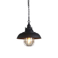 Load image into Gallery viewer, Bulkhead Cage Pendant Light
