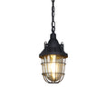 Load image into Gallery viewer, Bulkhead Cage Pendant Light
