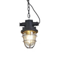 Load image into Gallery viewer, Bulkhead Cage Pendant Light
