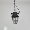 Load image into Gallery viewer, Bulkhead Cage Pendant Light
