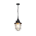 Load image into Gallery viewer, Bulkhead Cage Pendant Light
