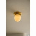 Load image into Gallery viewer, Bullet-shaped Alabaster Flush Mount
