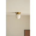 Load image into Gallery viewer, Bullet-shaped Alabaster Flush Mount
