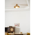 Load image into Gallery viewer, Cadence Semi Flush Ceiling Lamp
