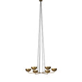 Bild in Galerie-Betrachter laden, Callisto Brass Chandelier
