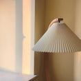 Load image into Gallery viewer, Caprani Floor Lamp
