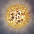 Load image into Gallery viewer, Caramello Petal Chandelier
