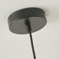 Bild in Galerie-Betrachter laden, Caribe Pendant Lamp
