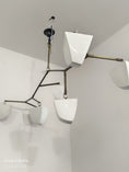 Charger l'image dans la visionneuse de la galerie, Branching Mobile Chandelier
