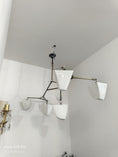 Charger l'image dans la visionneuse de la galerie, Branching Mobile Chandelier

