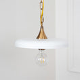 Load image into Gallery viewer, Chris Loves Julia Pendant Light
