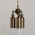 Load image into Gallery viewer, Chrishell Pendant Lamp
