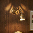 Load image into Gallery viewer, Addison Gooseneck Wall Lamp
