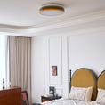 Load image into Gallery viewer, Color Stack Ceiling Lamp
