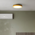Load image into Gallery viewer, Color Stack Ceiling Lamp
