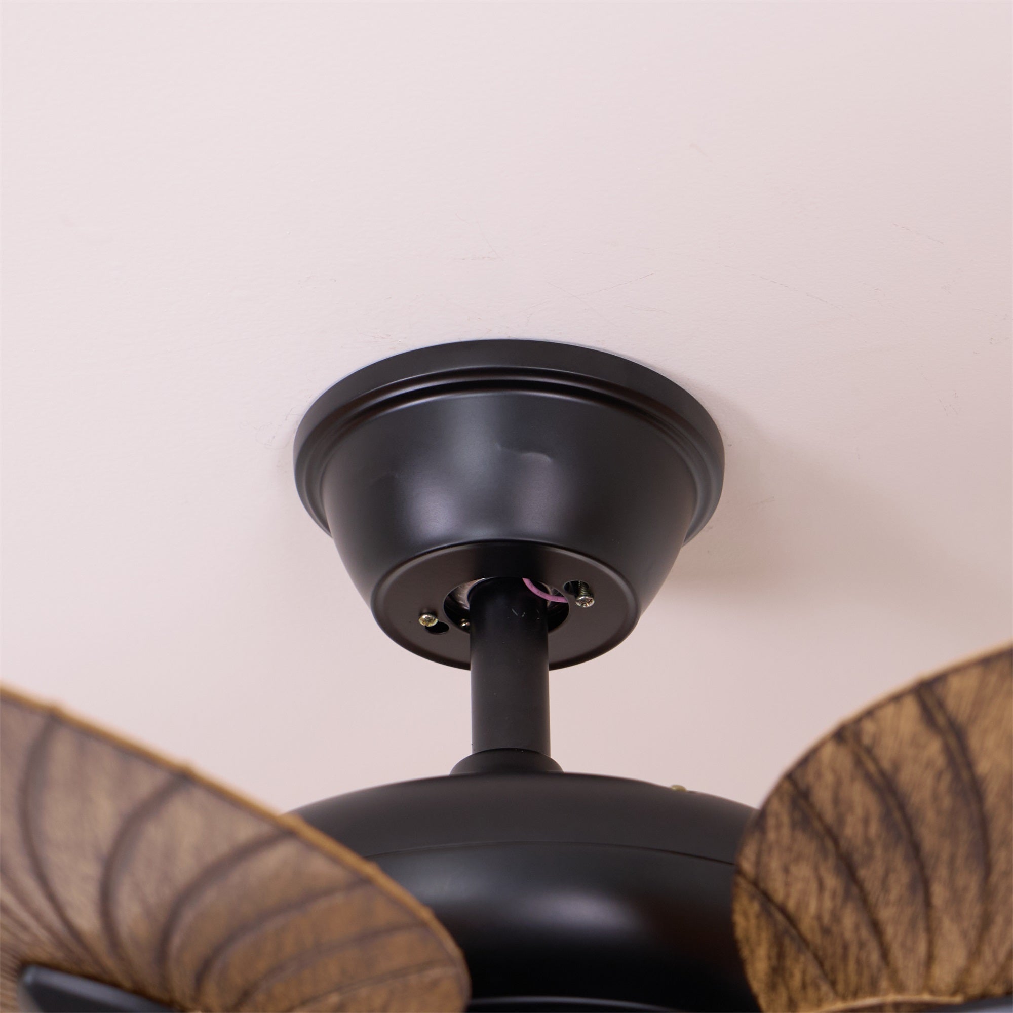 Cruise 42″ Ceiling Fan Light