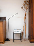 Load image into Gallery viewer, Daphine Floor Lamp
