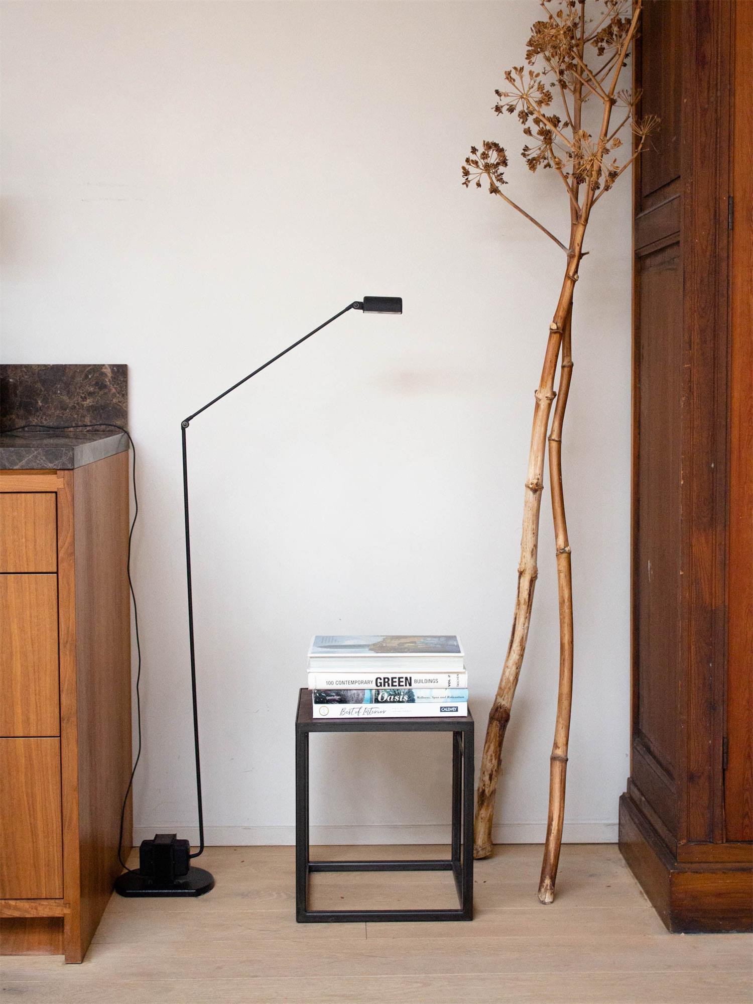 Daphine Floor Lamp