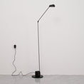 Load image into Gallery viewer, Daphine Floor Lamp
