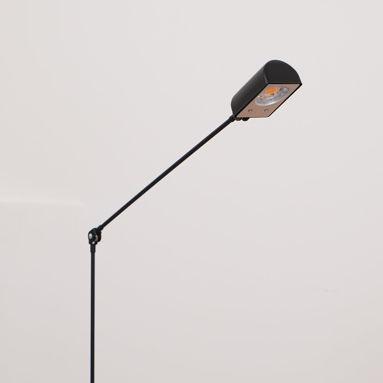 Daphine Floor Lamp