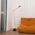 Load image into Gallery viewer, Daphine Floor Lamp
