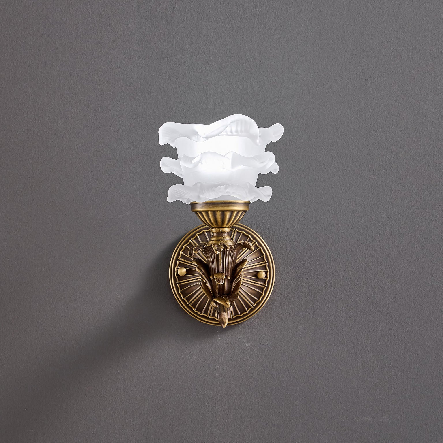 Darwin Wall Lamp