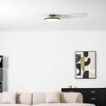 Load image into Gallery viewer, Zayn Ceiling Lamp
