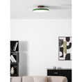 Load image into Gallery viewer, Zayn Ceiling Lamp
