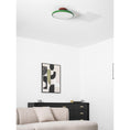 Load image into Gallery viewer, Zayn Ceiling Lamp

