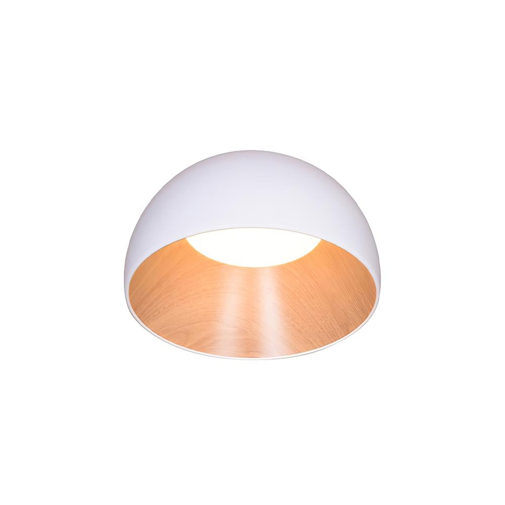 Duo Ceiling Lamp