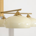 Load image into Gallery viewer, Elliptical Persimmon Chandelier
