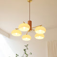 Load image into Gallery viewer, Elliptical Persimmon Chandelier
