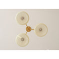 Load image into Gallery viewer, Elliptical Persimmon Chandelier
