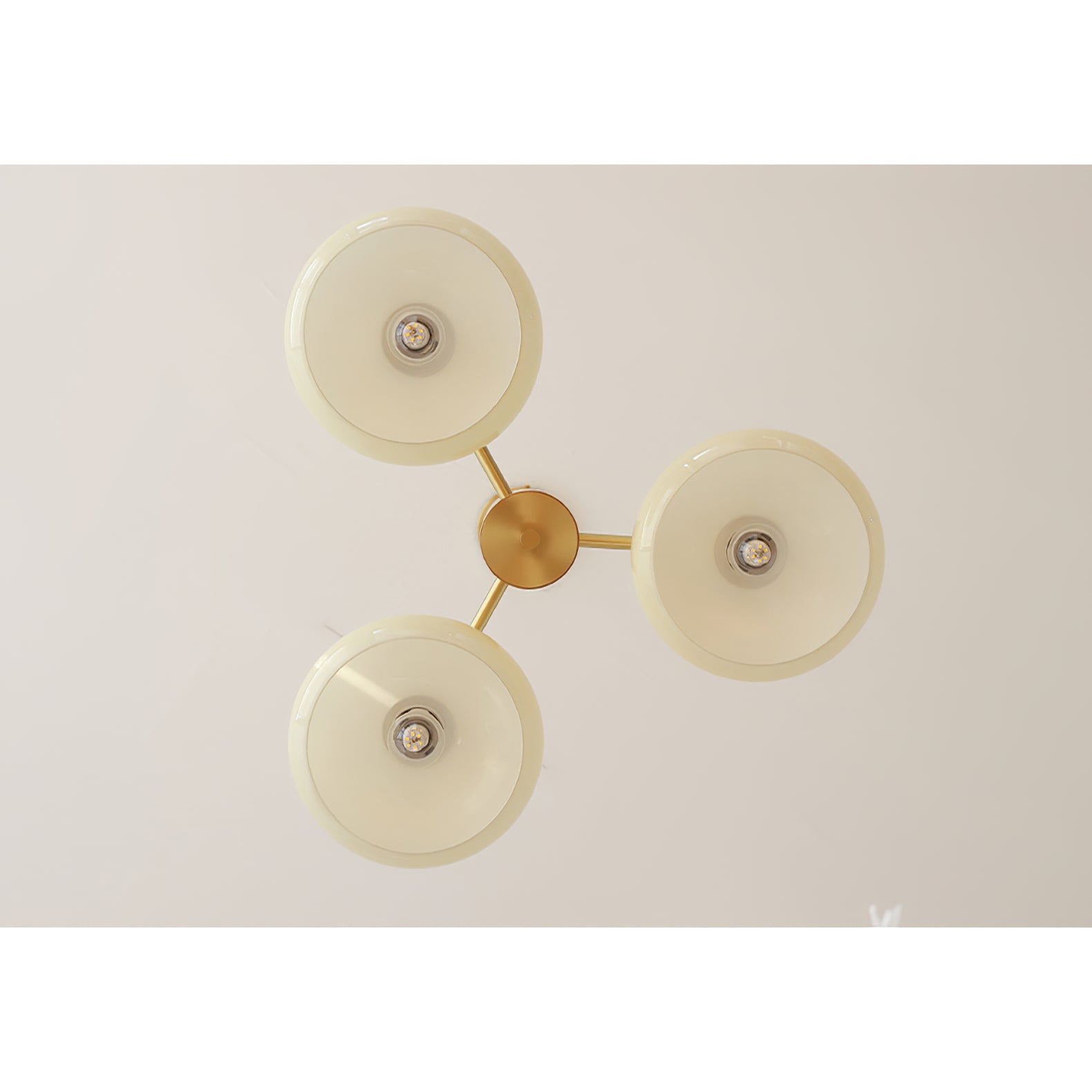 Elliptical Persimmon Chandelier