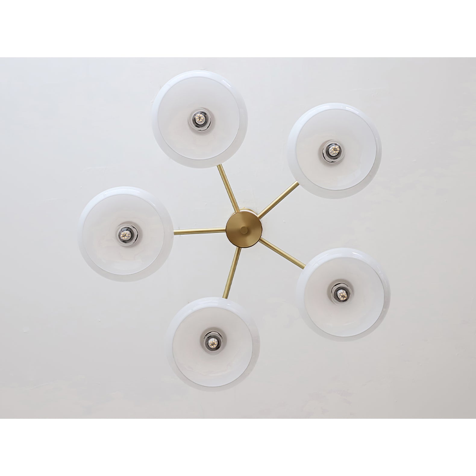 Elliptical Persimmon Chandelier