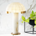 Load image into Gallery viewer, Etoile Table Lamp
