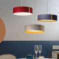 Load image into Gallery viewer, Felt Pendant Light
