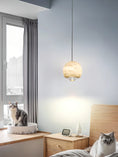 Load image into Gallery viewer, Ferox Pendant Light
