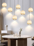 Load image into Gallery viewer, Ferox Pendant Light
