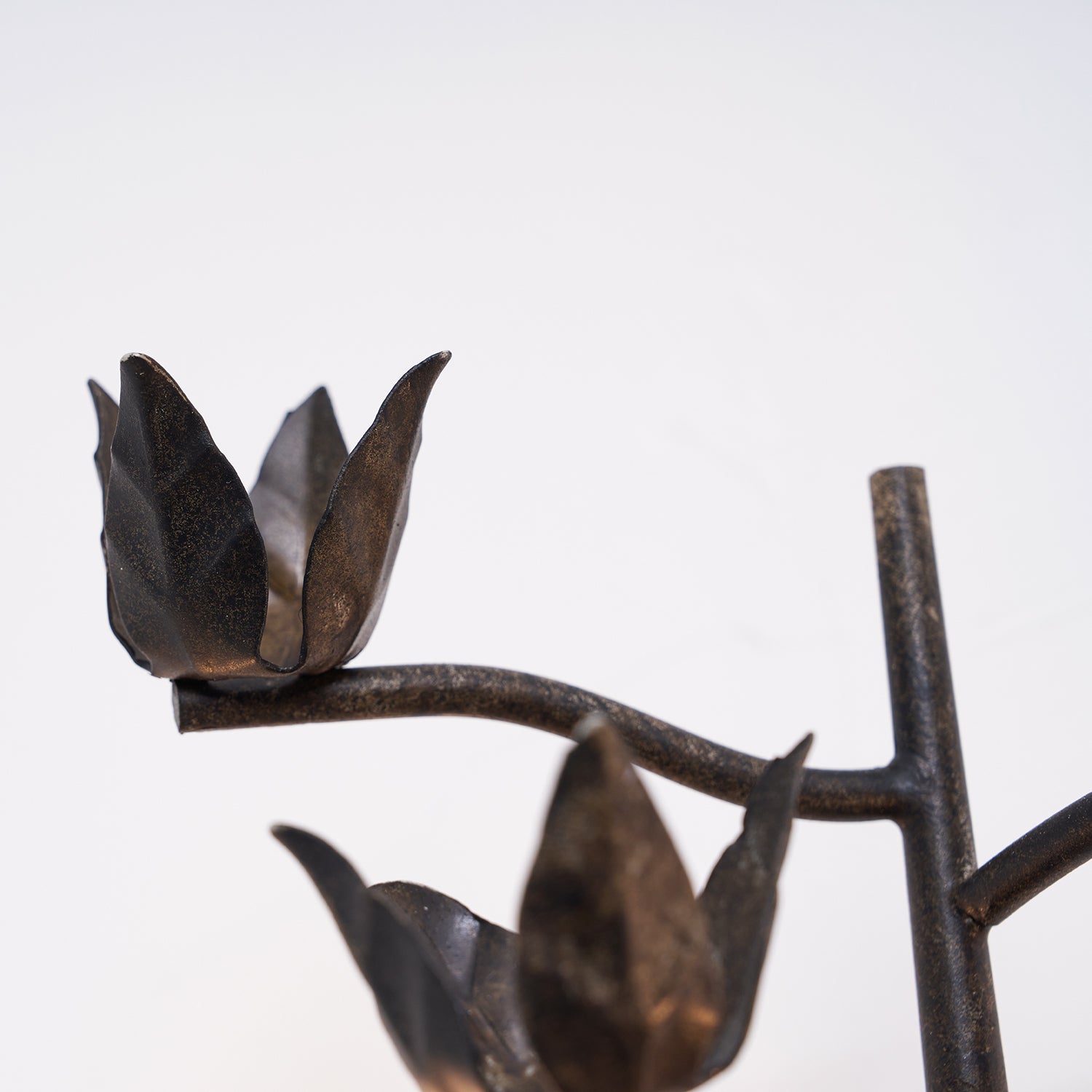 Ferroarte Branch Wall Lamp