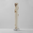 Bild in Galerie-Betrachter laden, Frozen Alabaster Floor Lamp
