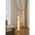 Bild in Galerie-Betrachter laden, Frozen Alabaster Floor Lamp
