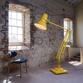 Bild in Galerie-Betrachter laden, Giant Floor Lamp
