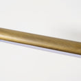 Load image into Gallery viewer, Goya Brass Wall Sconce
